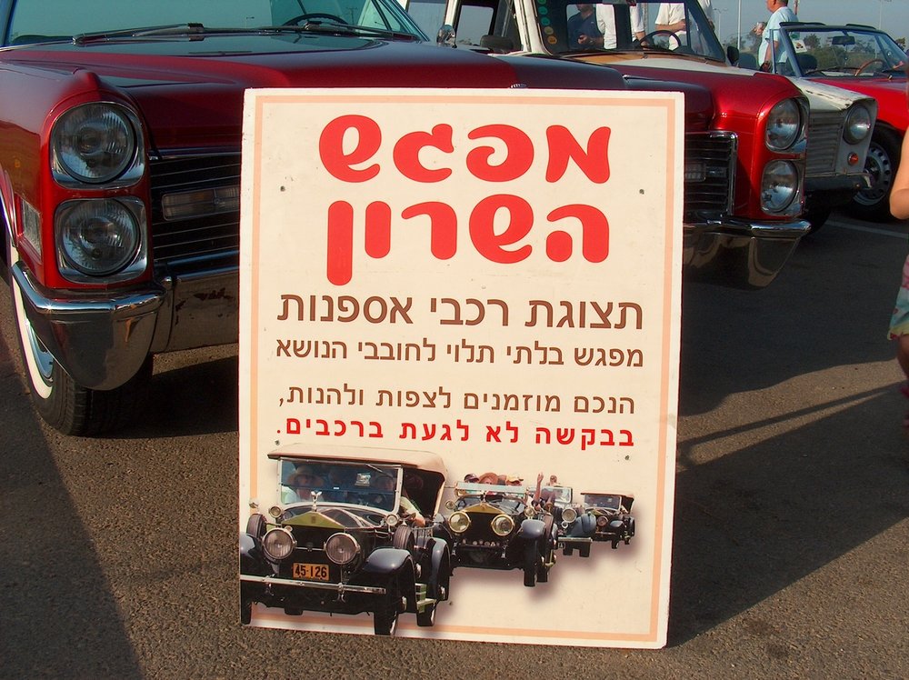 מפגש השרון בגעש 23.jpg