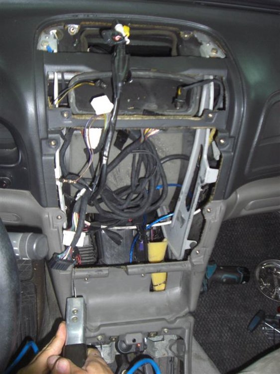 CIMG6761 (Large).JPG