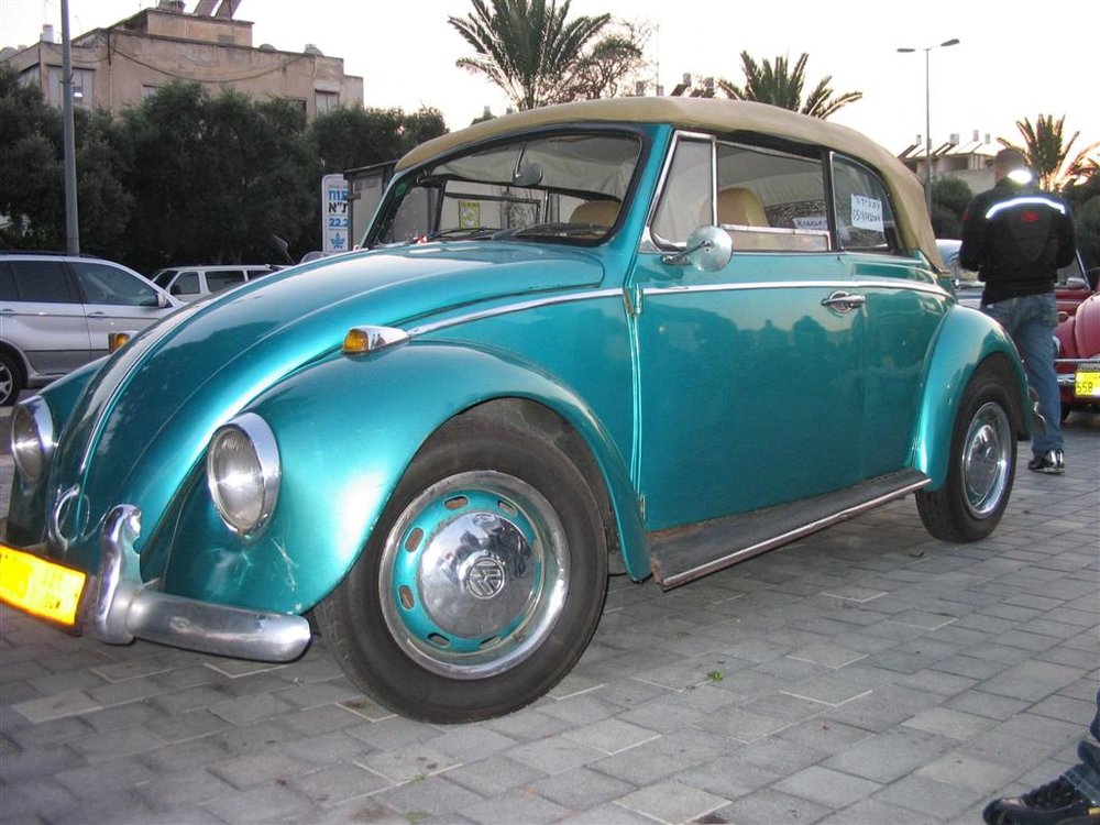 1 (Large) (2).JPG