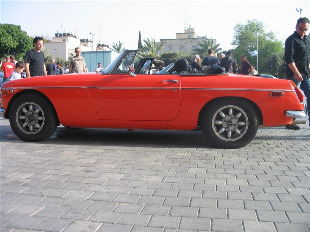 IMG_7533 (Large).jpg