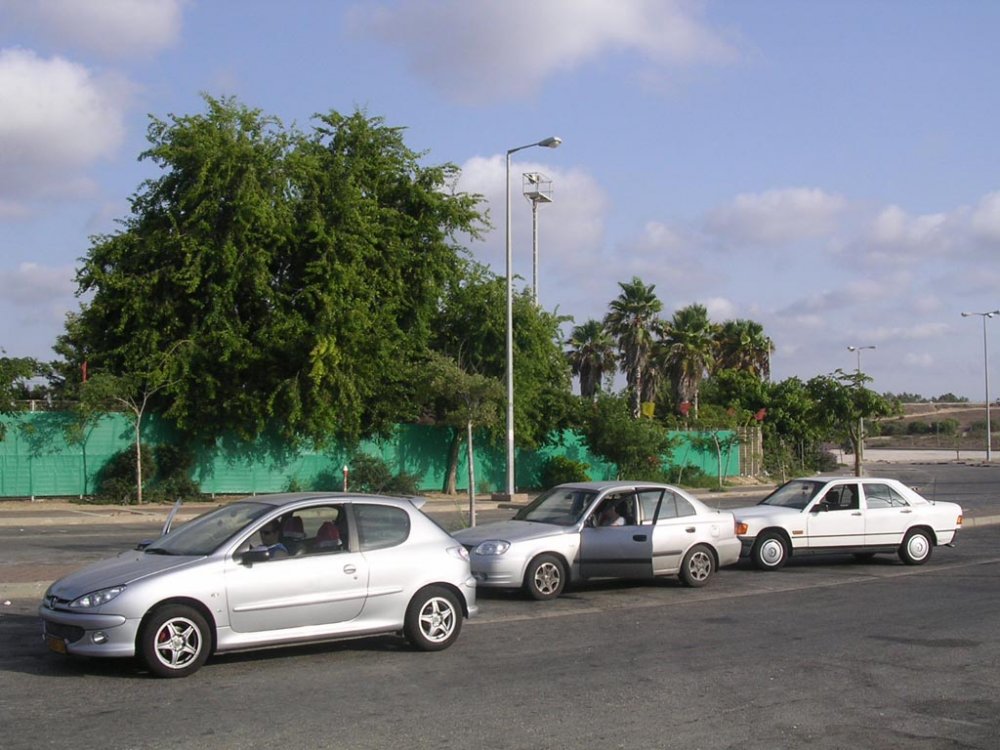 מפגש 9.jpg