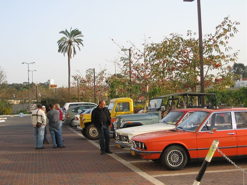 מפגש שפלה 20.3.09 007.jpg