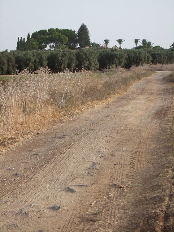 מרחביה 039.jpg
