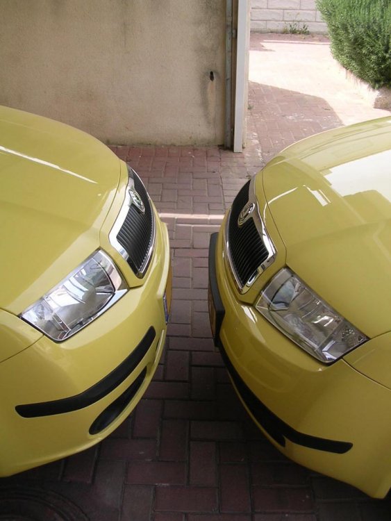 fabia's 9 1.jpg