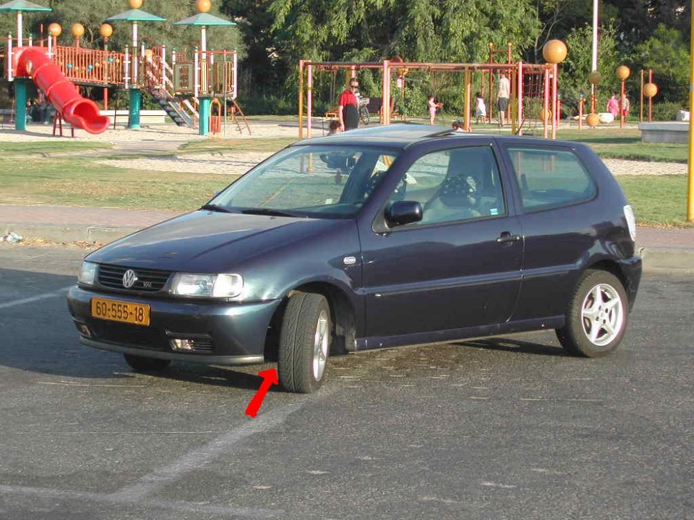 תמונה 018.jpg