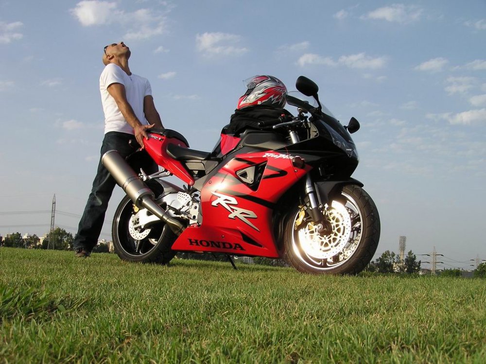Sex motori.jpg