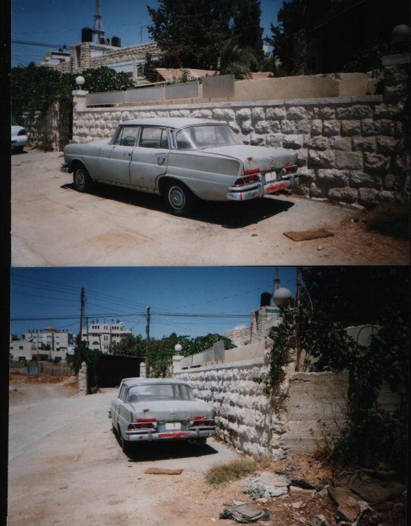 תמונה 006.jpg