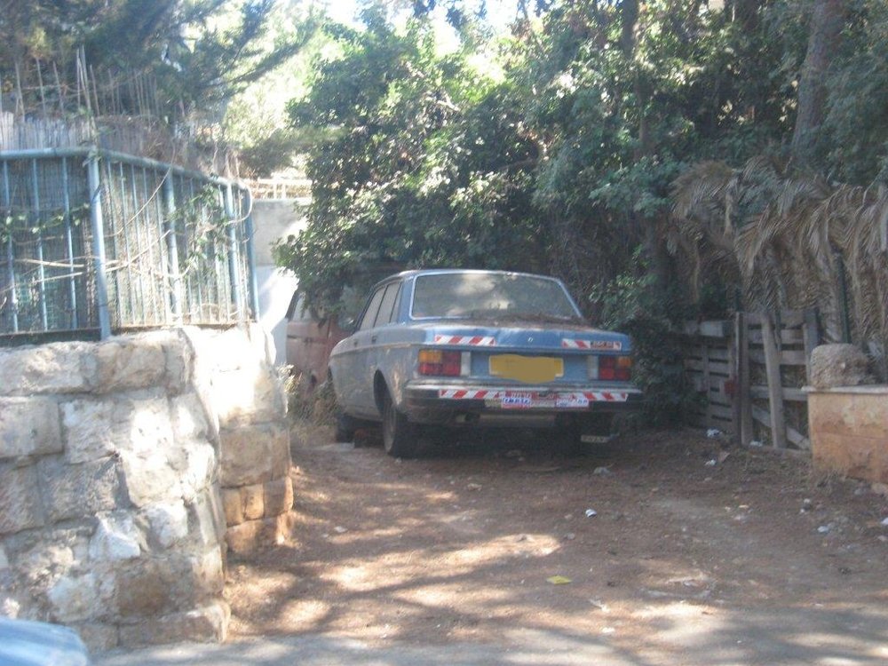 ששש.jpg