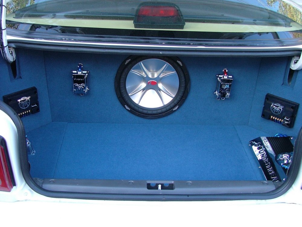 stam2 002.jpg