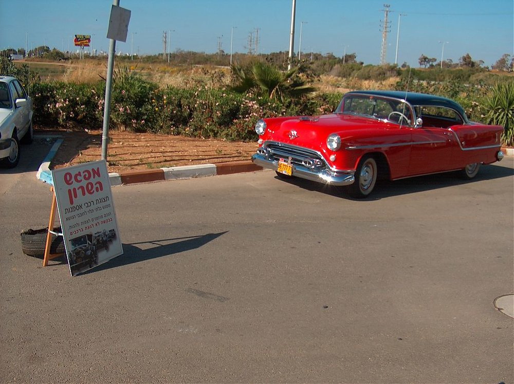 מפגש השרון בגעש  12.4.13 007.jpg