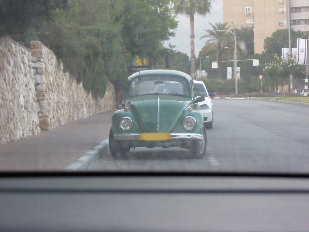 תמונה 006.jpg