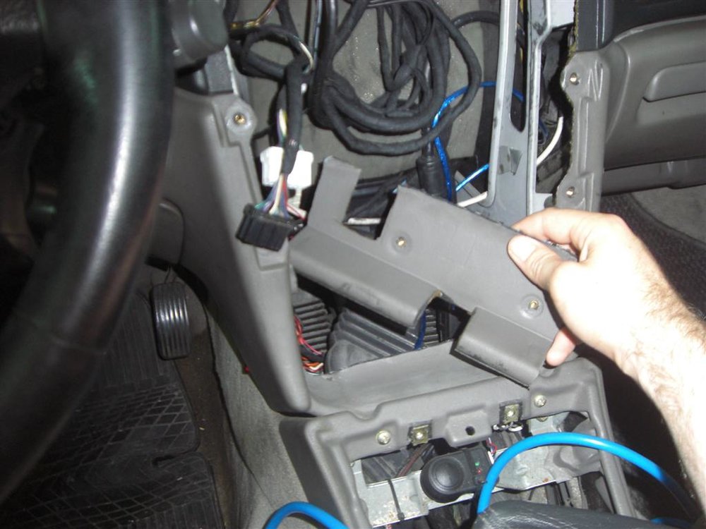 CIMG6763 (Large).JPG