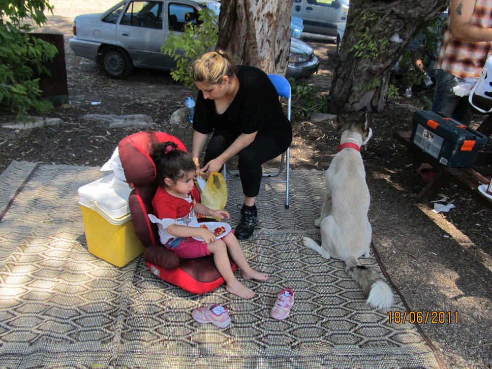 תמונה 1036.jpg