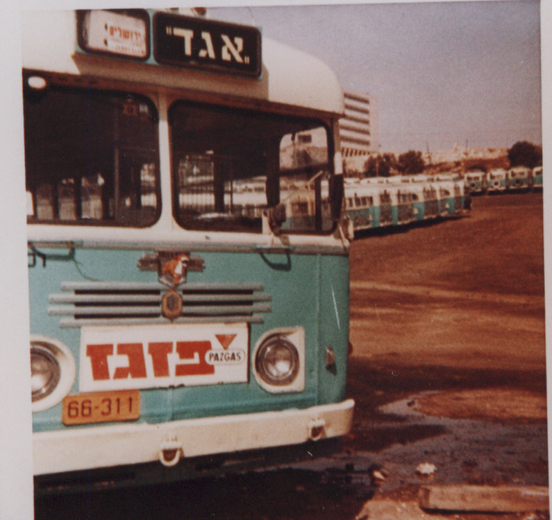66-311.jpg