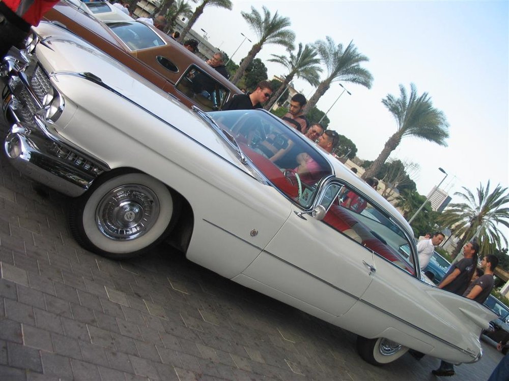 IMG_7220 (Large).jpg
