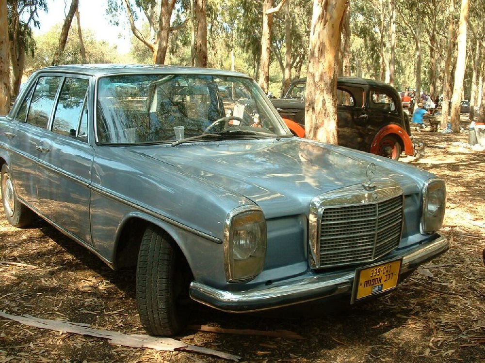 677.jpg