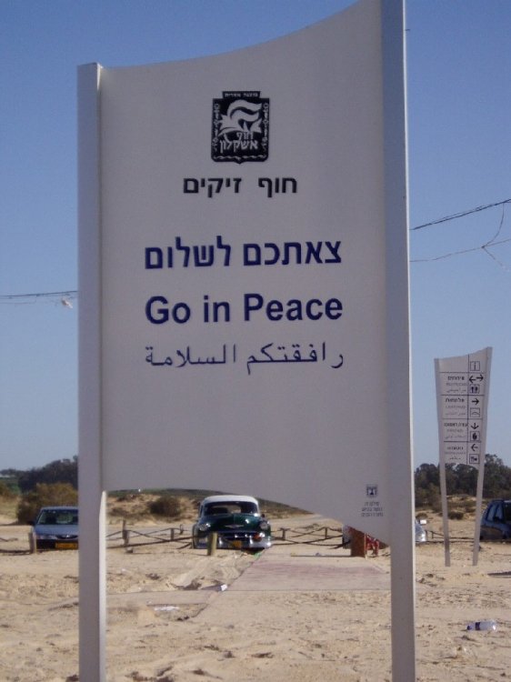 חוף זיקים 3.jpg