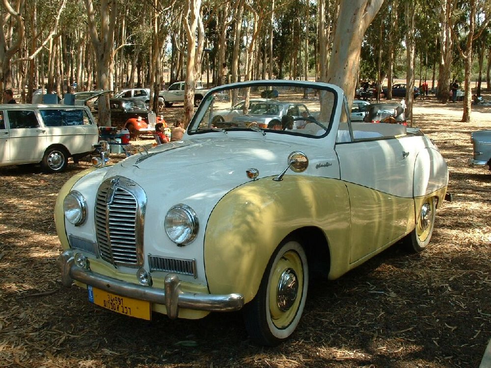 685.jpg