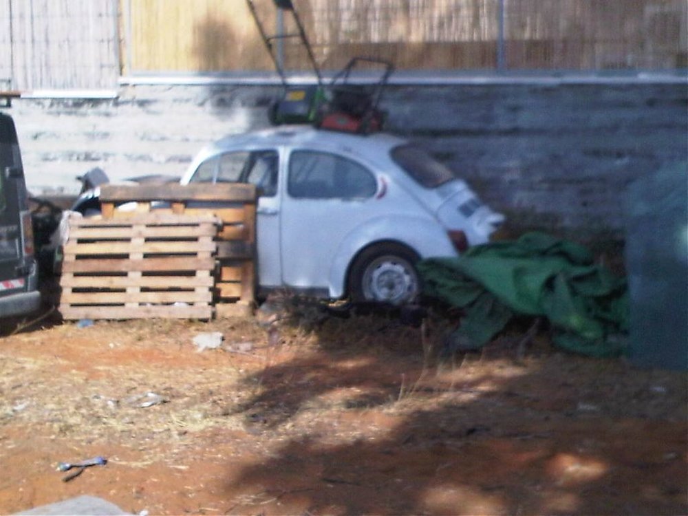 hipu rosh ayen.jpg