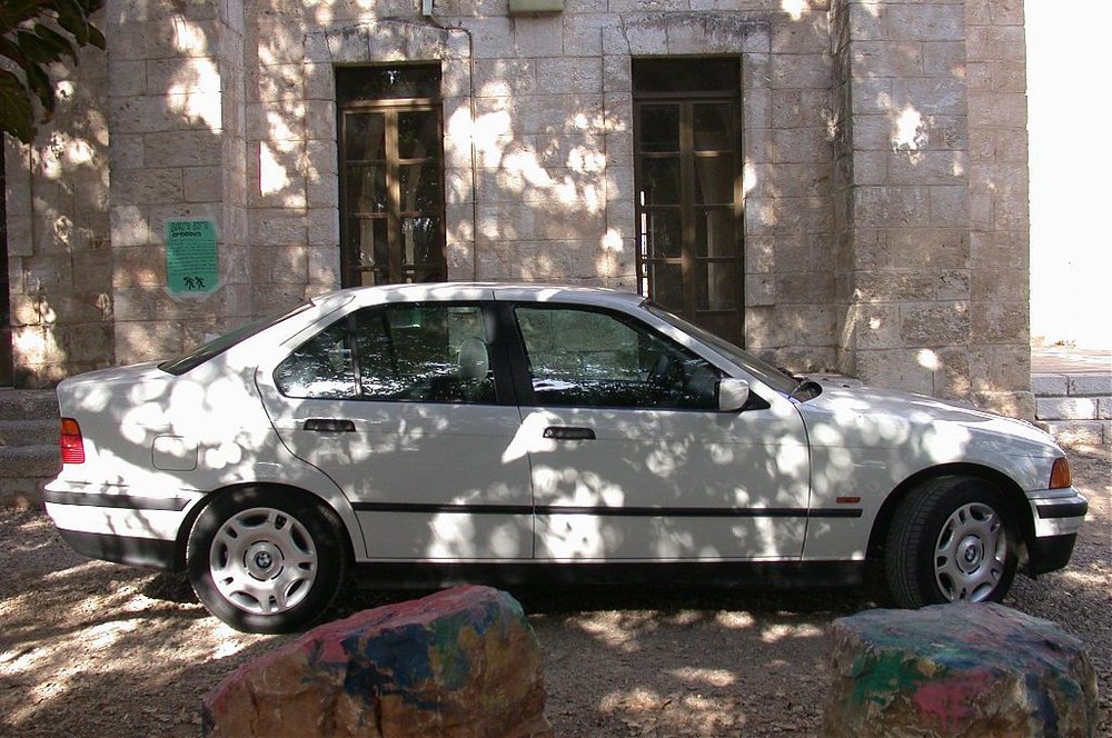 צד.jpg