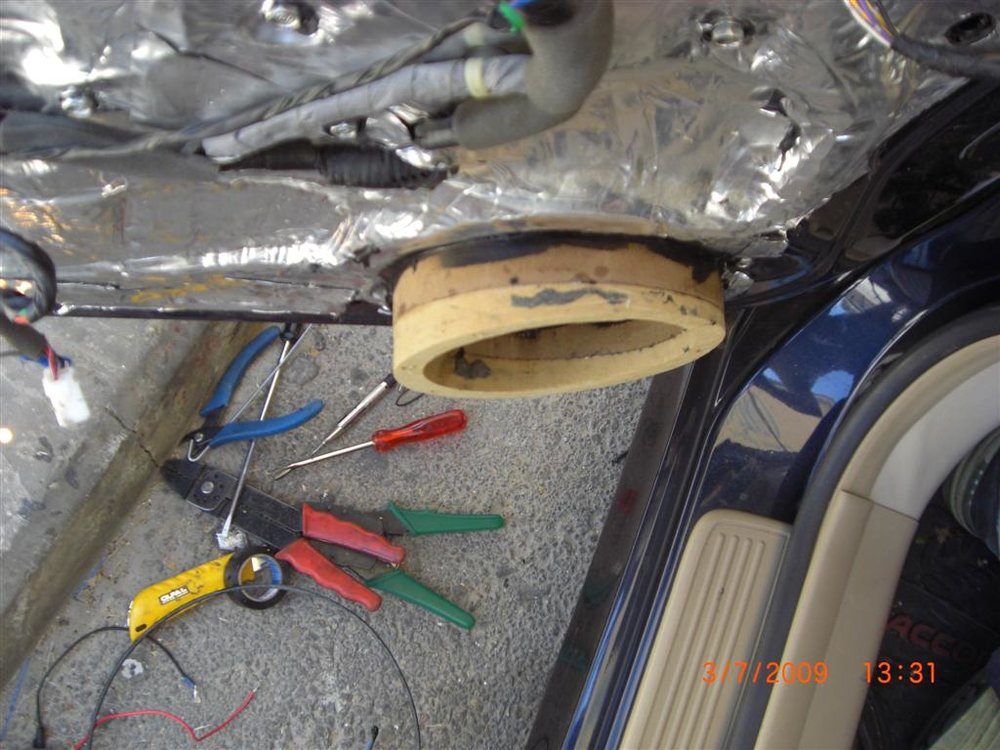 CIMG1193 (Large).JPG