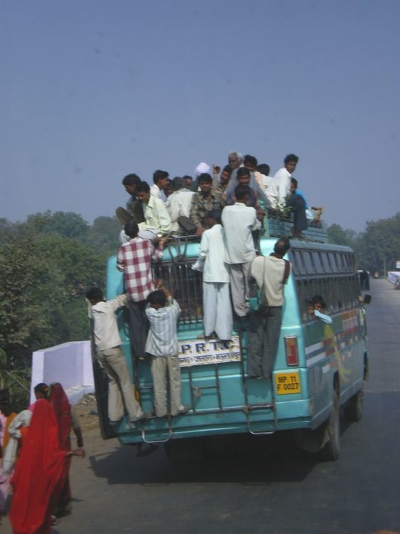 7.JPG