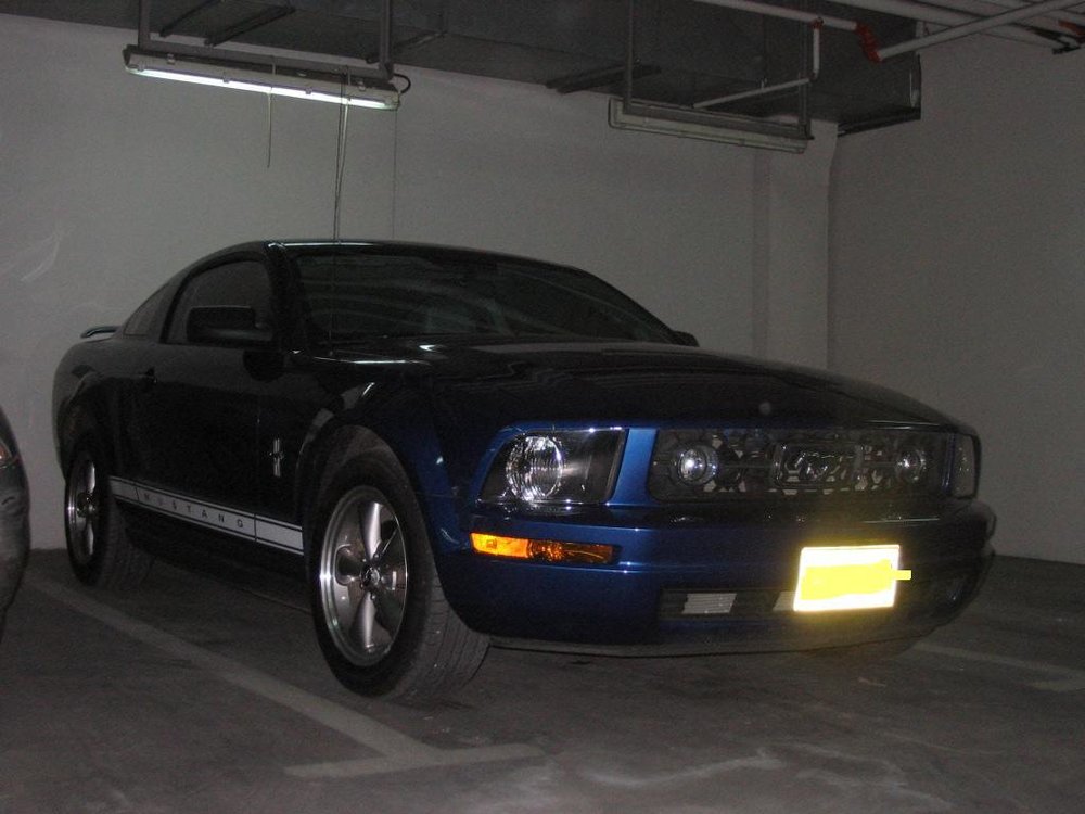 2 (Large).JPG
