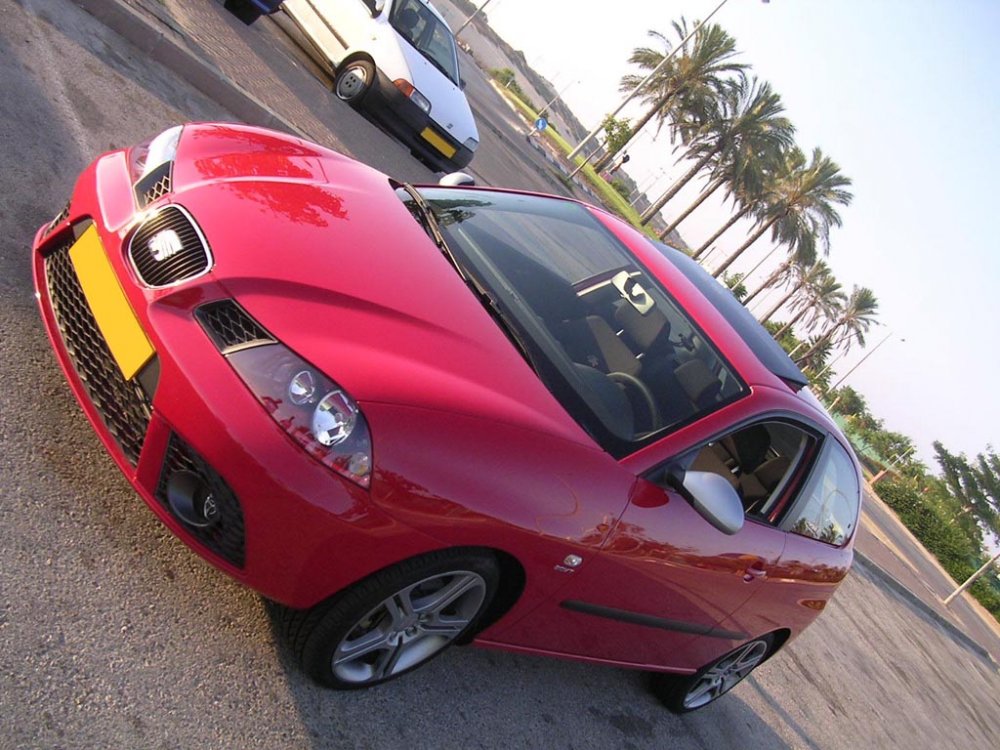 ibiza 8.jpg