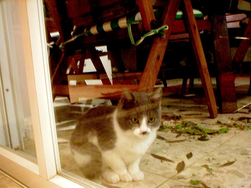 Picture 013.jpg