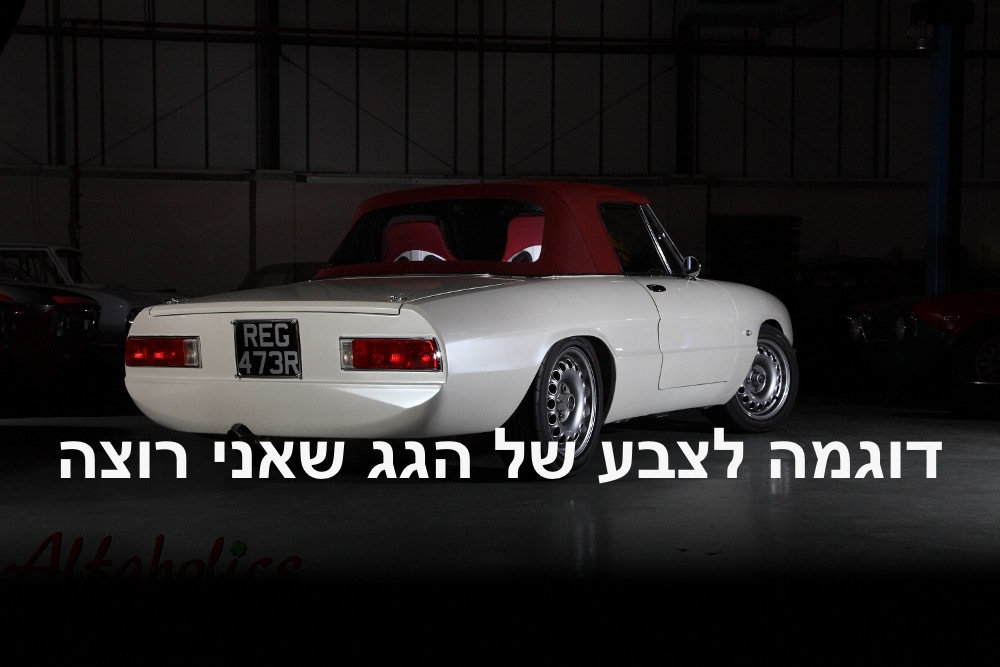 דוגמה 2.JPG