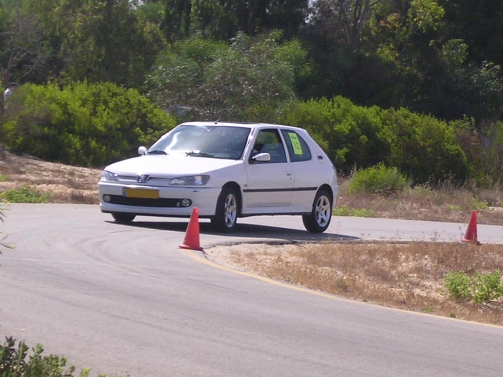 Pegeout 10-10.jpg