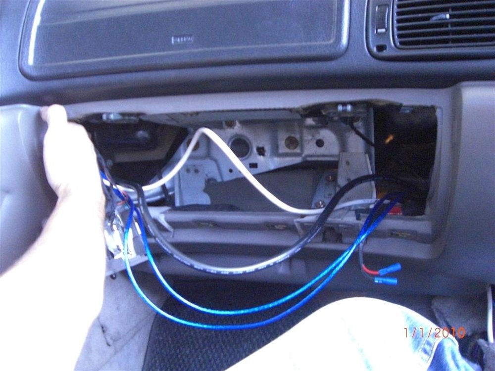 CIMG2526 (Large).JPG