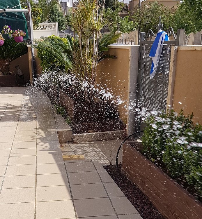 ישן1.jpg