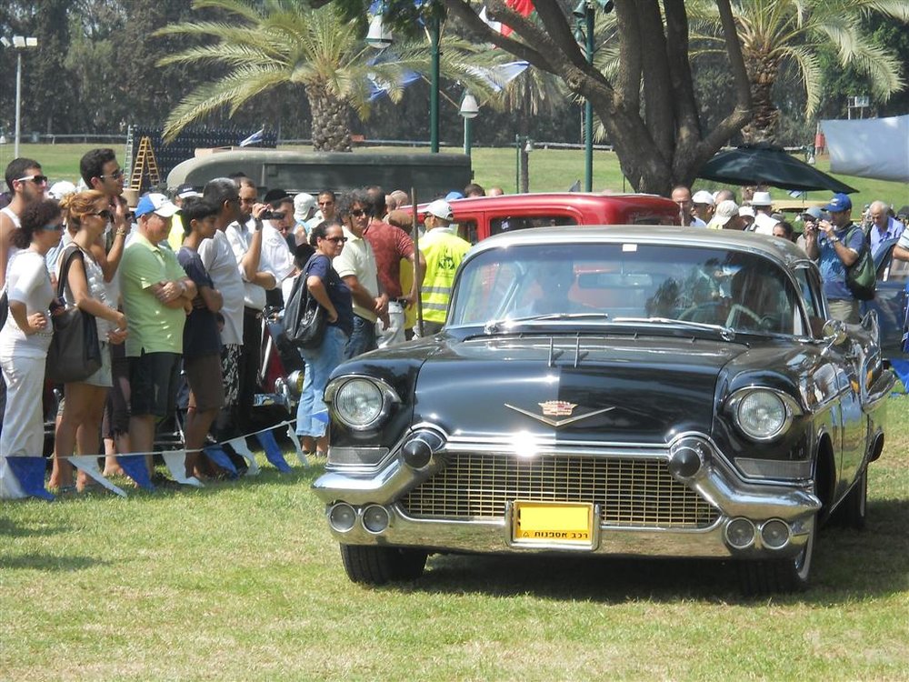 120 (Large).jpg