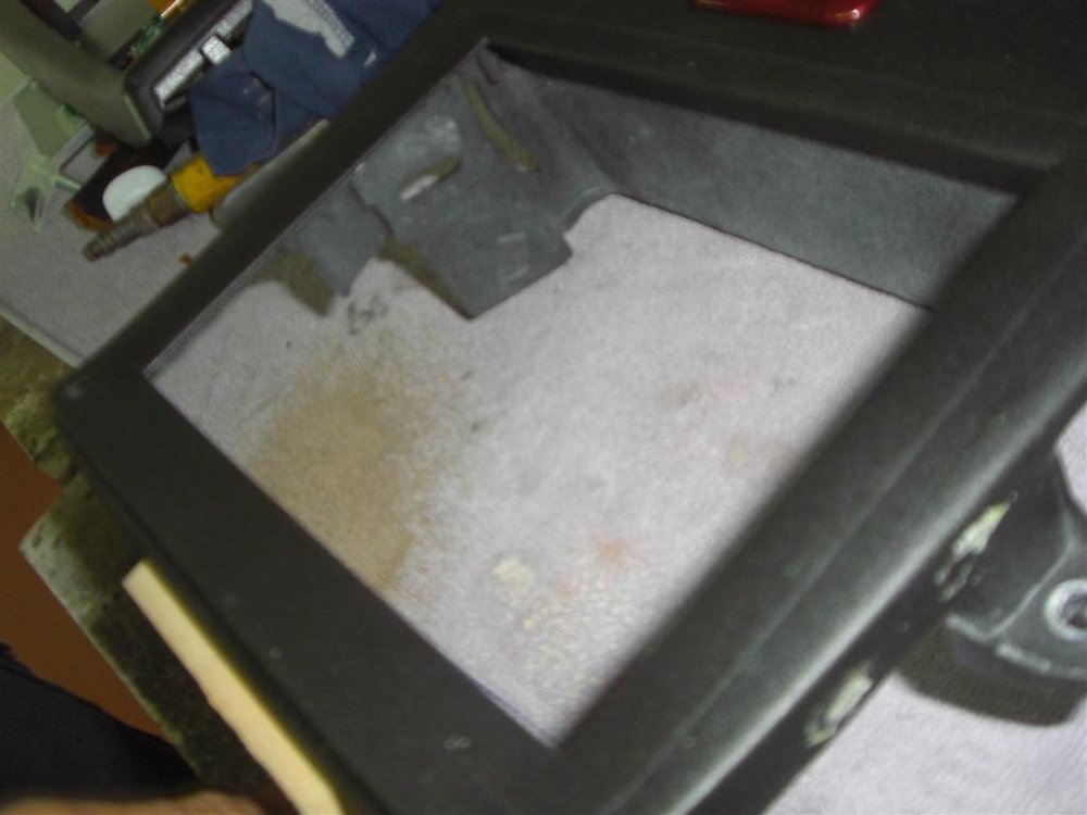 CIMG6770 (Large).JPG