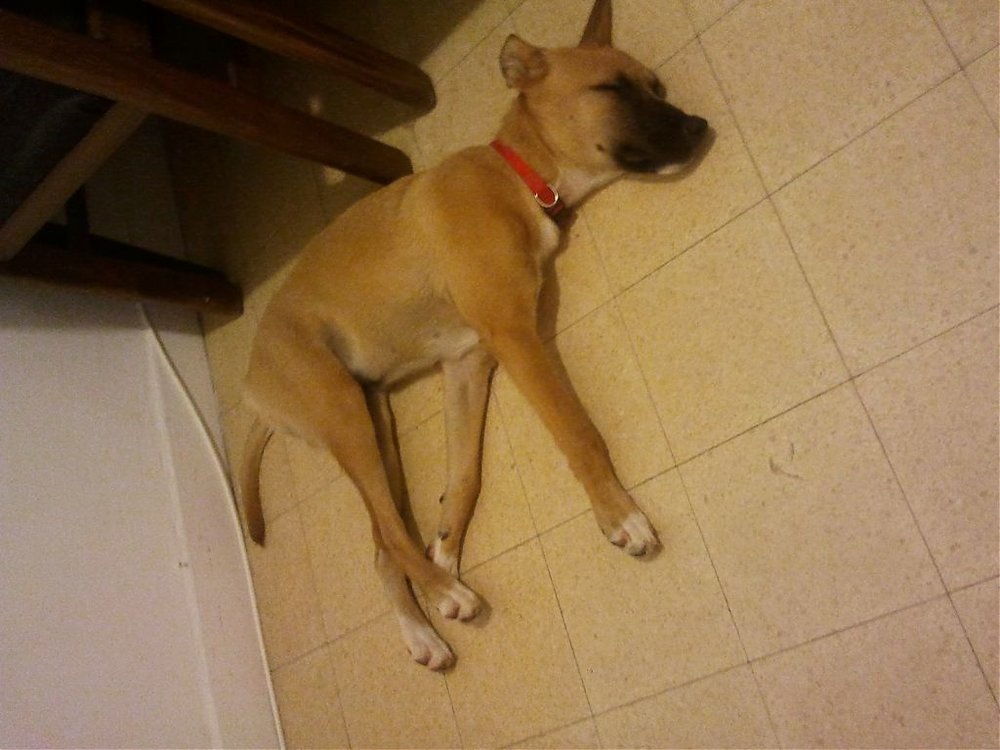 2011-07-29 23.31.53.jpg