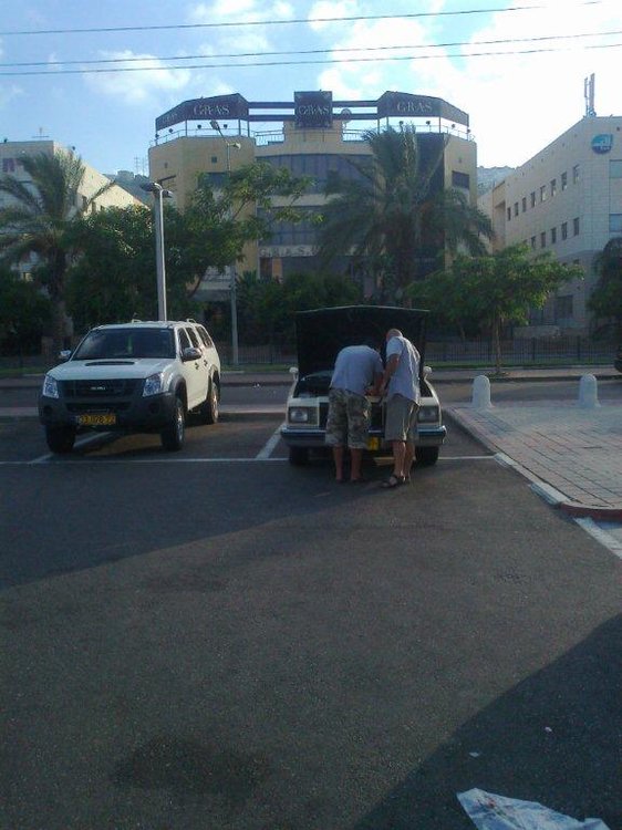 תצלום0226.jpg