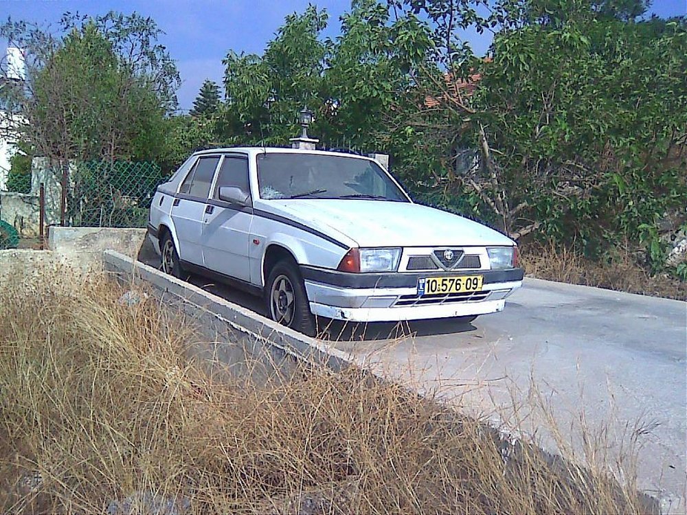 75.jpg