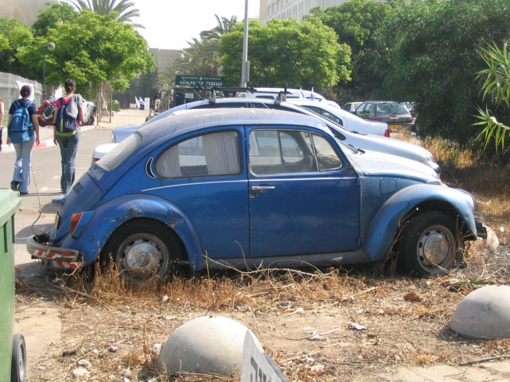morris8 035.jpg