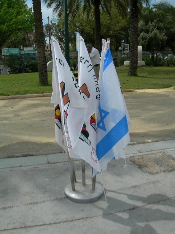 mus 038.JPG