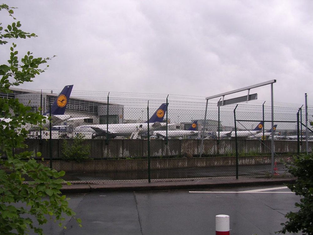 luft' 3.jpg