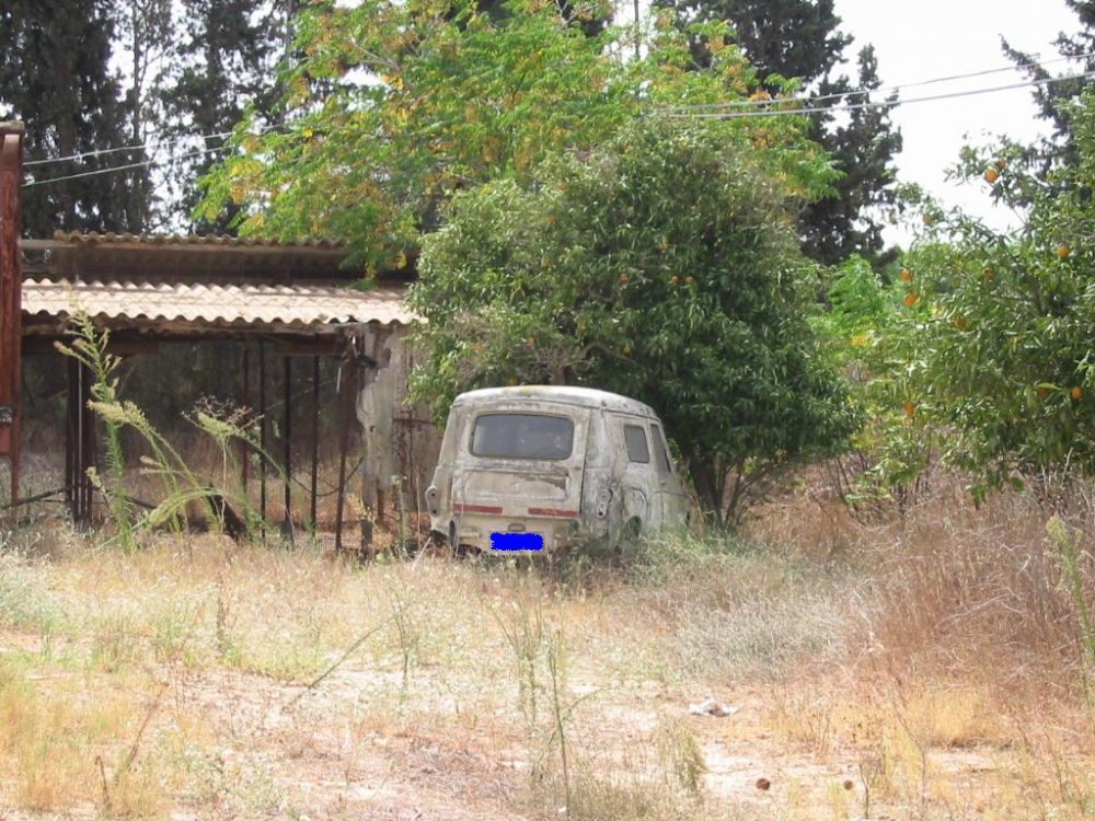 ??עותק של IMG_4689.JPG