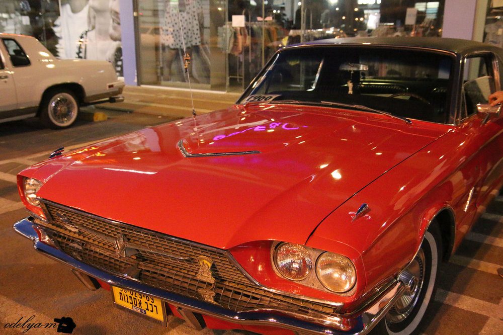 p5 (25).jpg