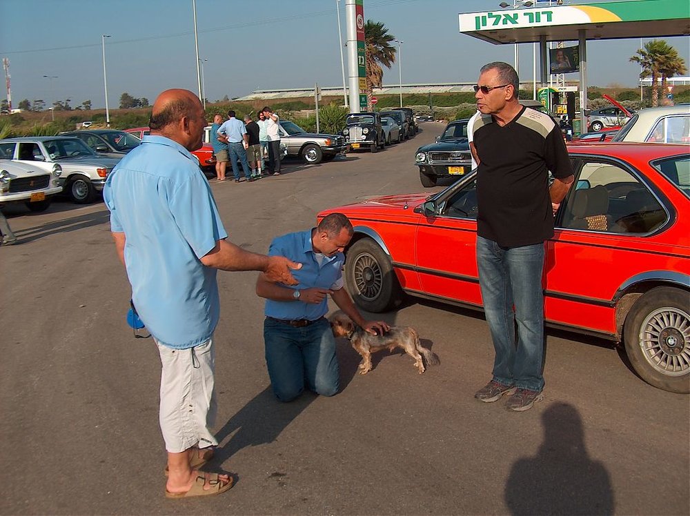 מפגש השרון בגעש  10.5.13 013.jpg