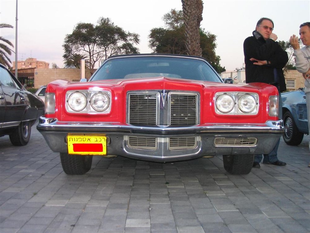 3 (Large).JPG