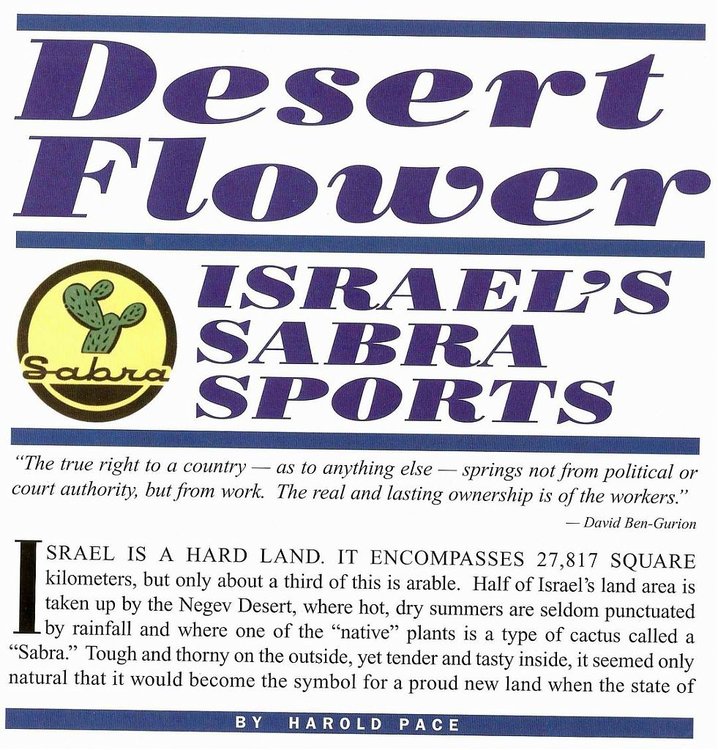 Resize of כתבה 11.jpg