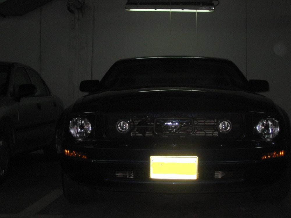 1 (Large).JPG