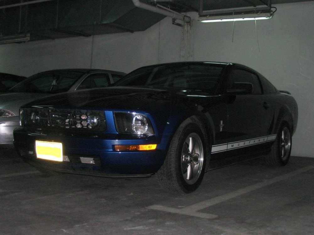 4 (Large).JPG
