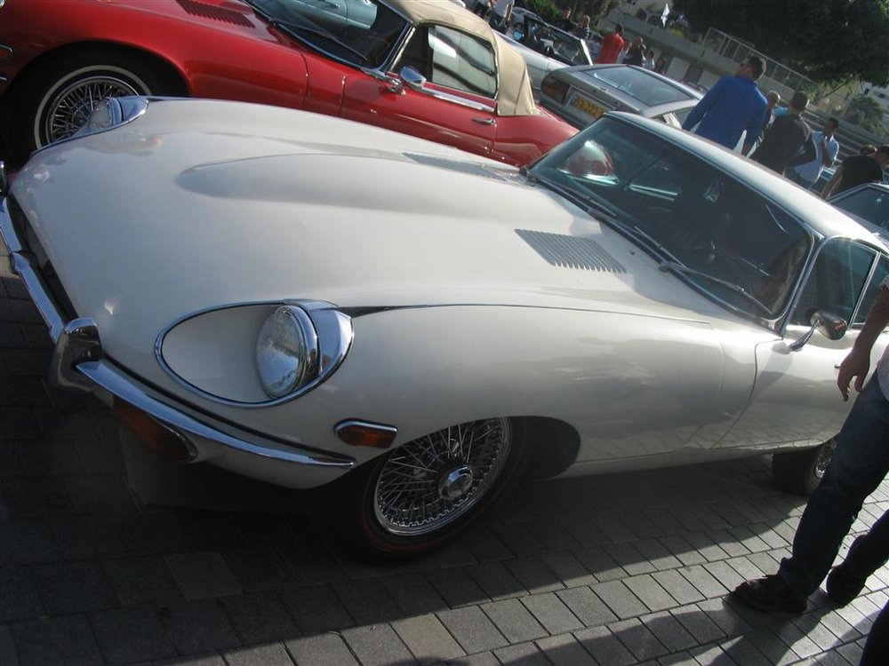 IMG_7527 (Large).jpg