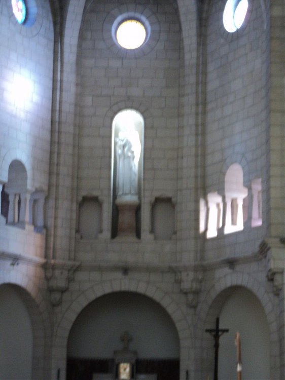 83.jpg